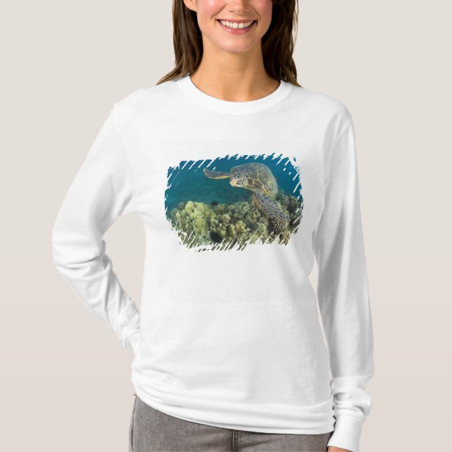 Camiseta A Tartaruga Verde (Chelonia mydas) é a 2 (Frente)