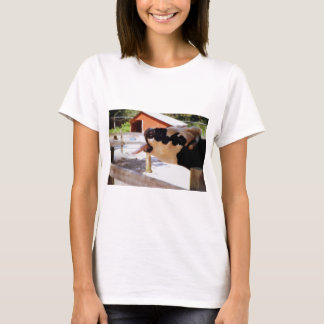 Camiseta A vaca que cola o é língua para fora para a pipoca