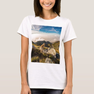 Camiseta A viagem