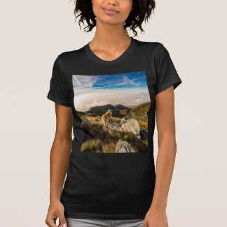 Camiseta A viagem