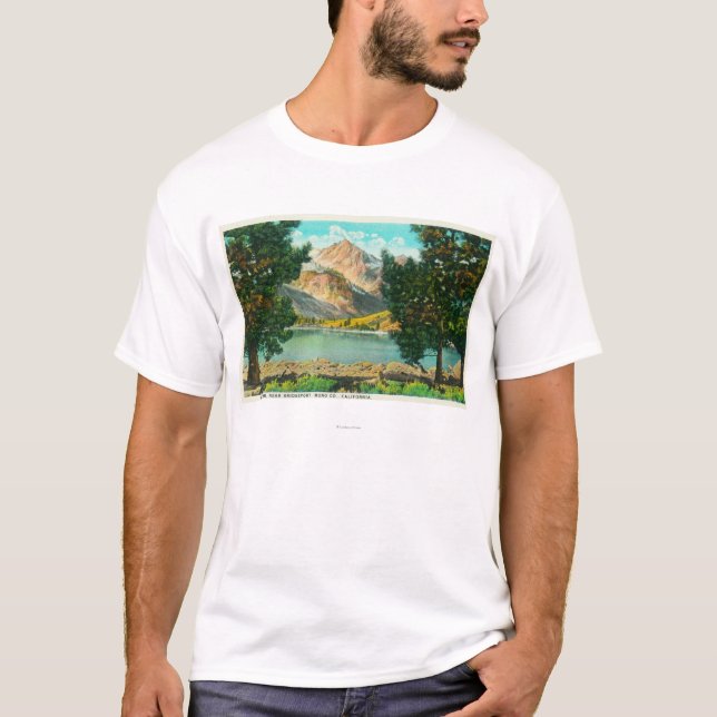 Camiseta A vista de lagos gêmeos aproxima Bridgeport (Frente)