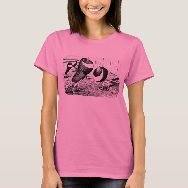 Camiseta Aachen Banda Cropper Pigeons (Frente)