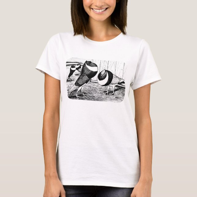 Camiseta Aachen Banda Cropper Pigeons (Frente)