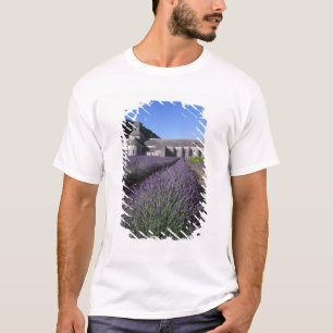Camiseta Abadia de Senanque, Gordes, Vaucluse, Provença,