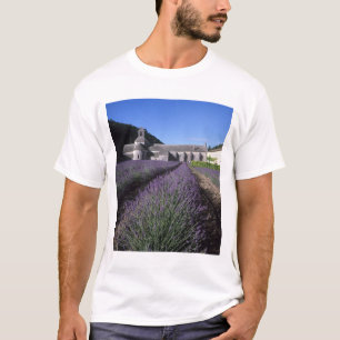 Camiseta Abadia de Senanque, Gordes, Vaucluse, Provença,
