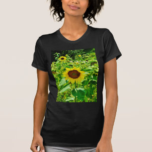 Camiseta Abelha no girassol amarelo