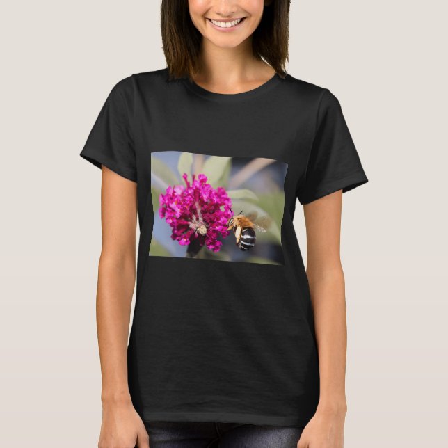 Camiseta Abelha-rajada-azul (Frente)