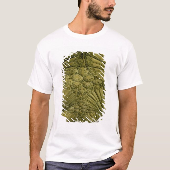 Camiseta Abóbada de fã no claustro (Frente)