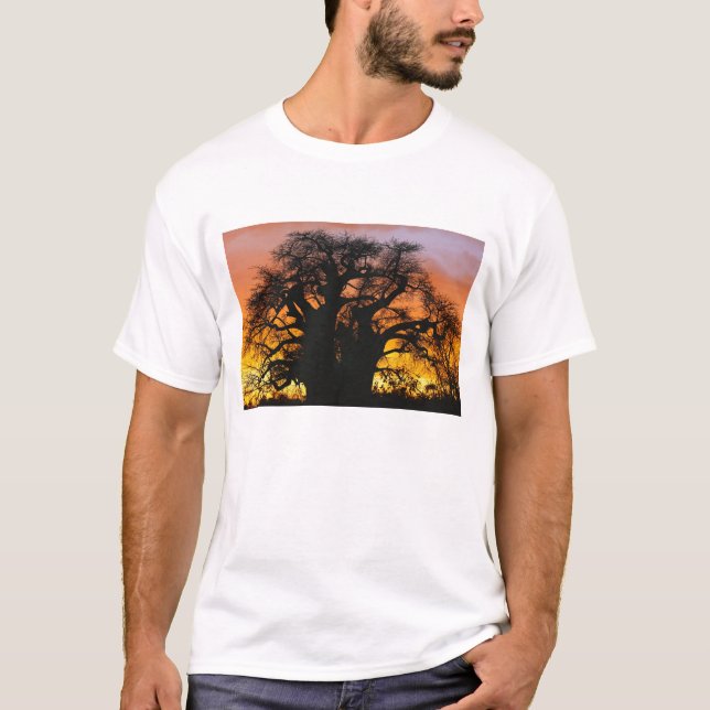 Camiseta Abóbora africana, Adansonia digitata, (Frente)