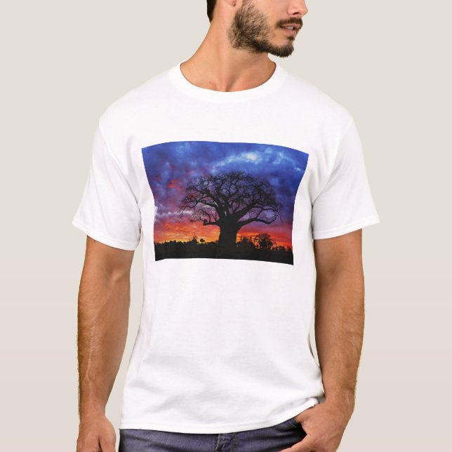 Camiseta Abóbora africana, Adansonia digitata, 2 (Frente)