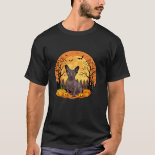 Camiseta Abóbora Com Dia de as Bruxas engraçado Sphynx Dog