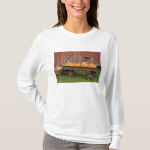 Camiseta Abóboras em velha carroça