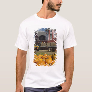 Camiseta Abóboras na fazenda no outono perto de Concord, 2