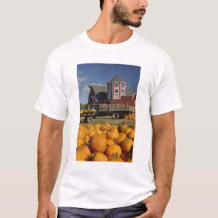 Camiseta Abóboras na fazenda no outono perto de Concord, 2