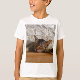 Camiseta Abraçar Gato