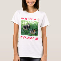 Abram Caminho Para Os Ducklings!!