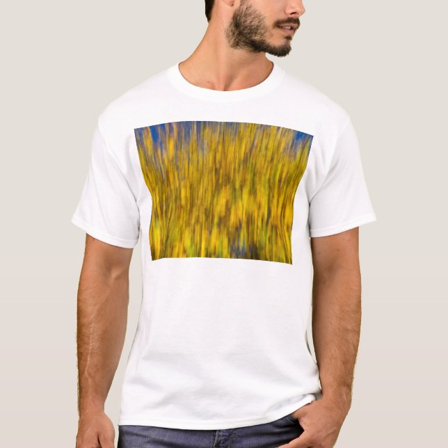 Camiseta Abstrato do outono (Frente)