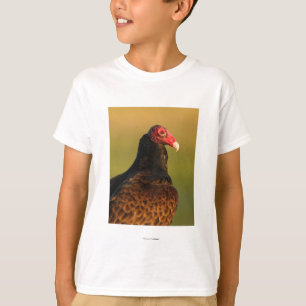 Camiseta Abutre