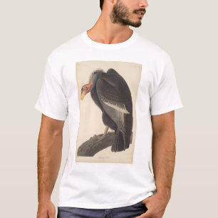 Camiseta Abutre de Audubon Califórnia (2609A)