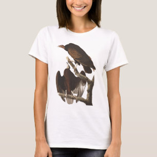 Camiseta Abutre de turquia de Audubon