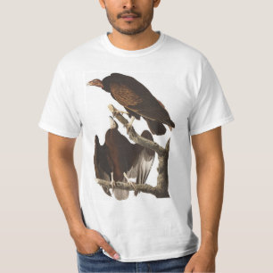 Camiseta Abutre de turquia de Audubon