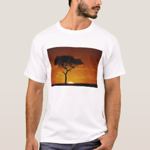 Camiseta Acácia Espinho de Guarda-Chuva, Acacia tortilis,