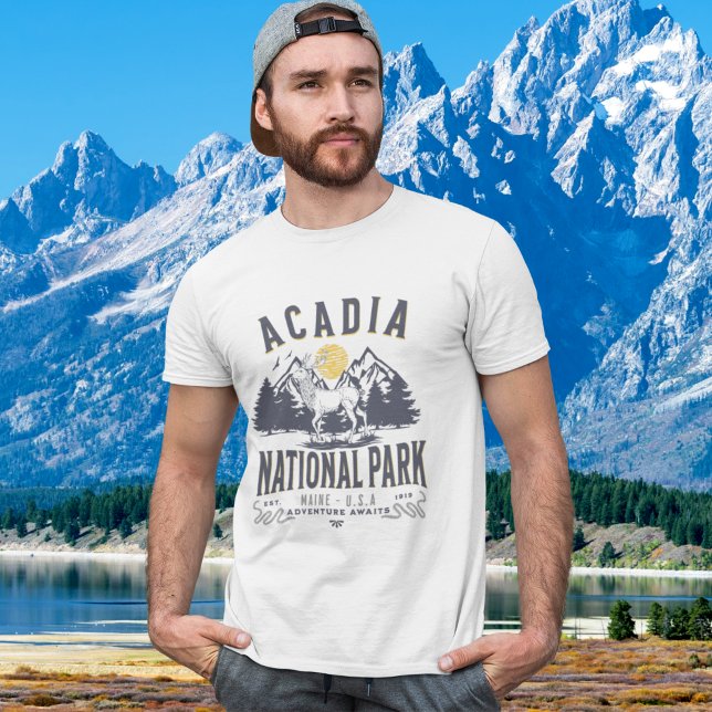 Camiseta Acadia National Park Vintage Landscape (Criador carregado)
