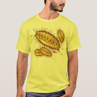 Camiseta Ácaro da poeira