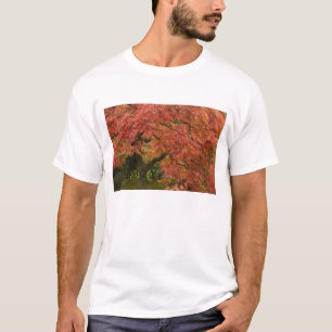 Camiseta Ácer japonês em cores de outono