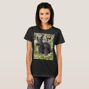 Camiseta Ach!