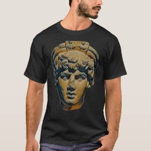 Camiseta Acient Italy Roman Statue Abstrato Professor 35