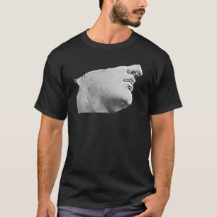 Camiseta Acient Italy Roman Statue Abstrato Professor 43