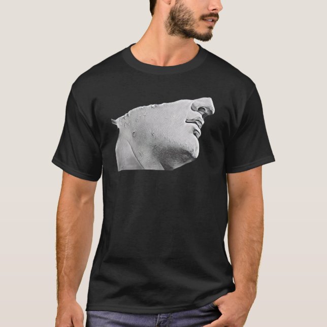 Camiseta Acient Italy Roman Statue Abstrato Professor 43 (Frente)