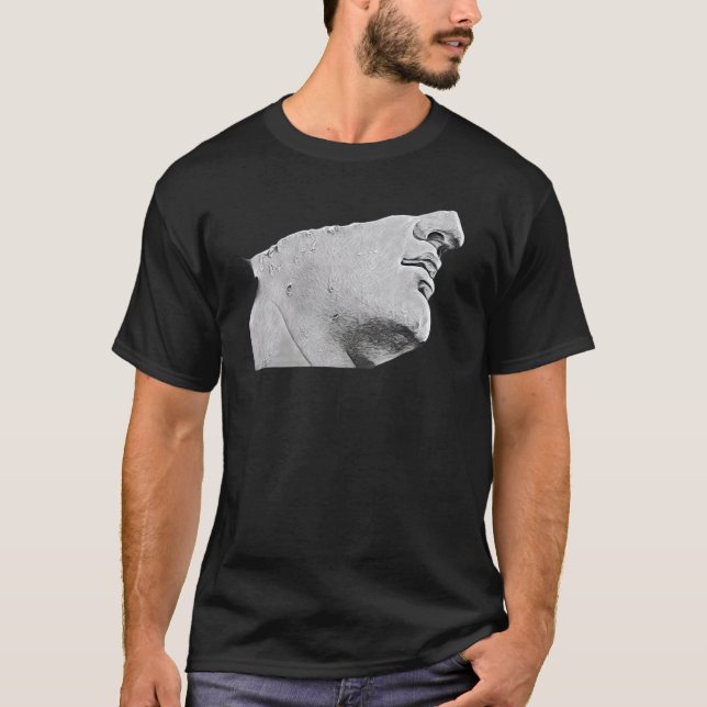 Camiseta Acient Italy Roman Statue Abstrato Professor 54 (Frente)