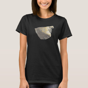 Camiseta Acient Italy Roman Statue Abstrato Professor 77