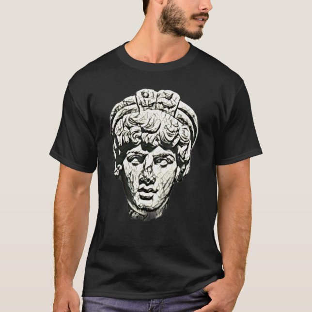 Camiseta Acient Italy Roman Statue Abstrato Professor 80 (Frente)