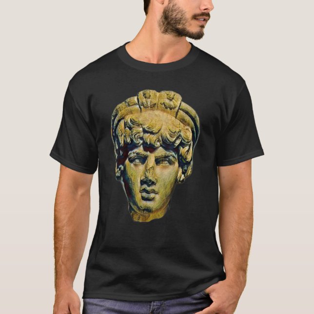 Camiseta Acient Italy Roman Statue Abstrato Professor 82 (Frente)
