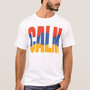 Camiseta Adesivo de Tipografia Minimalista Fique Calmo