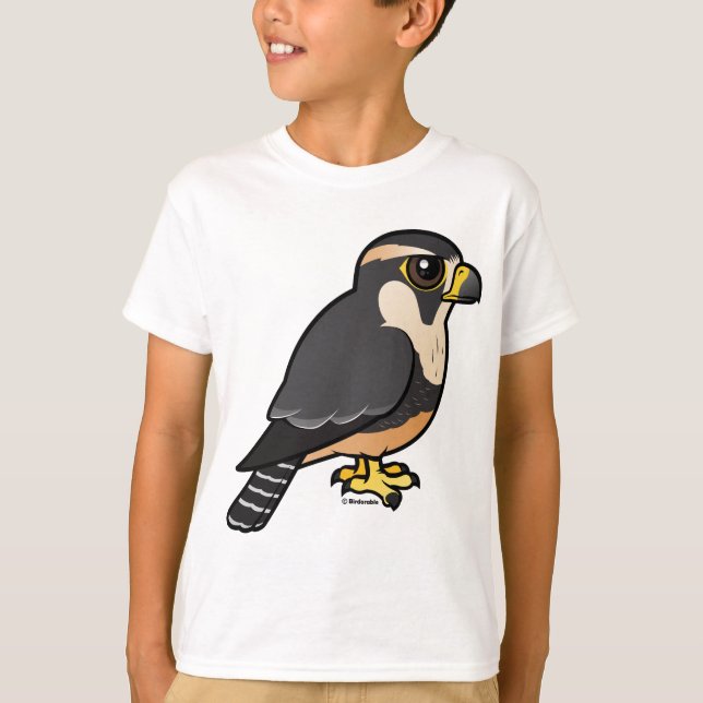 Camiseta Adiplomado Falcon (Frente)