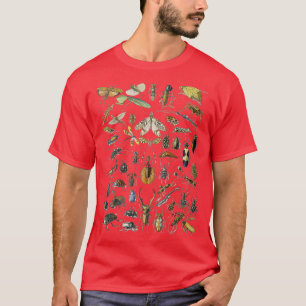 Camiseta Adolphe Millot Insetos Aranha