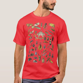 Camiseta Adolphe Millot Insetos Aranha
