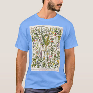 Camiseta Adolphe Millot Plantes Medicinales B Vintag francê