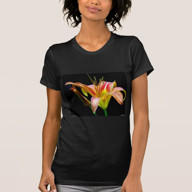 Camiseta Adorável Roupa e presentes de Tawny Daylily II (Frente)