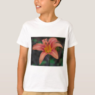 Camiseta Adorável Tawny Daylily Roupa e presentes