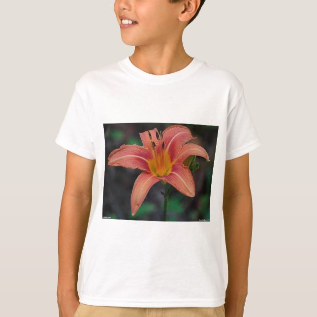 Camiseta Adorável Tawny Daylily Roupa e presentes (Frente)