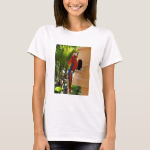 Camiseta Adoro papagaios