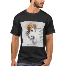 Adotar Um Prateleira - Beagle