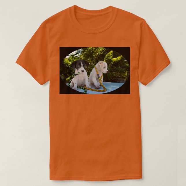 Camiseta Adotar Uma Cuppy Abandonada (Frente do Design)