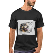 Adote um Pet de Abrigo - Cão Montanhês Bernês