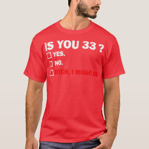 Camiseta Adulto Engraçado 33 Anos Presente De Aniversário